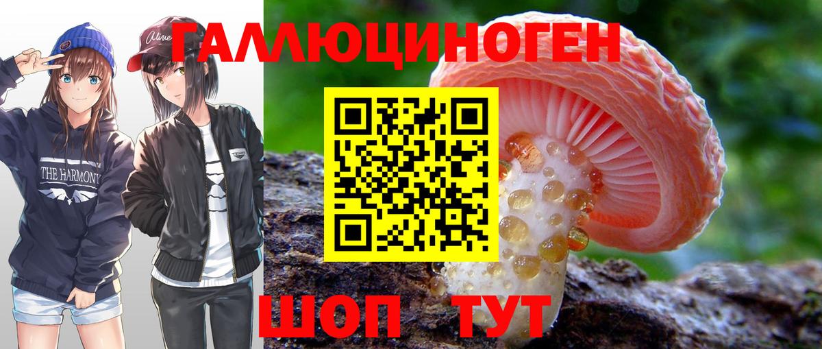 Псилоцибиновые грибы GOLDEN TEACHER Знаменск