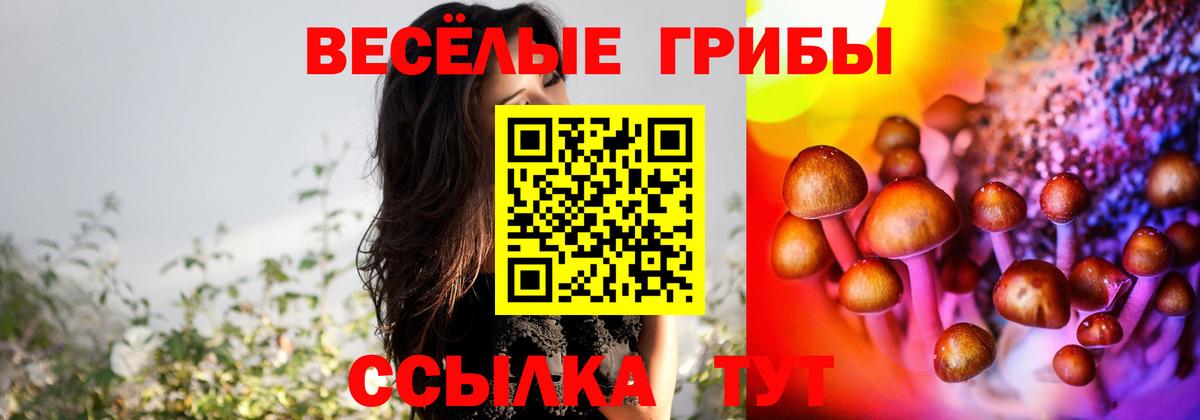 хочу наркоту  Вход с VPN  Знаменск  Псилоцибиновые грибы MAGIC MUSHROOMS 